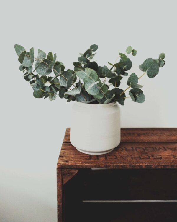 Stoneware Planter